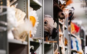 specialist cleaning for storage facilities