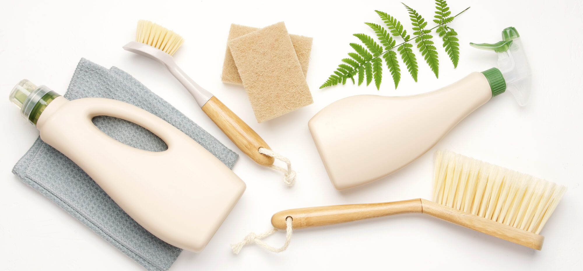 Chemical free office cleaning in a modern corporate workplace